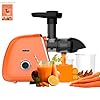 Elite Cold Press Slow Juicer